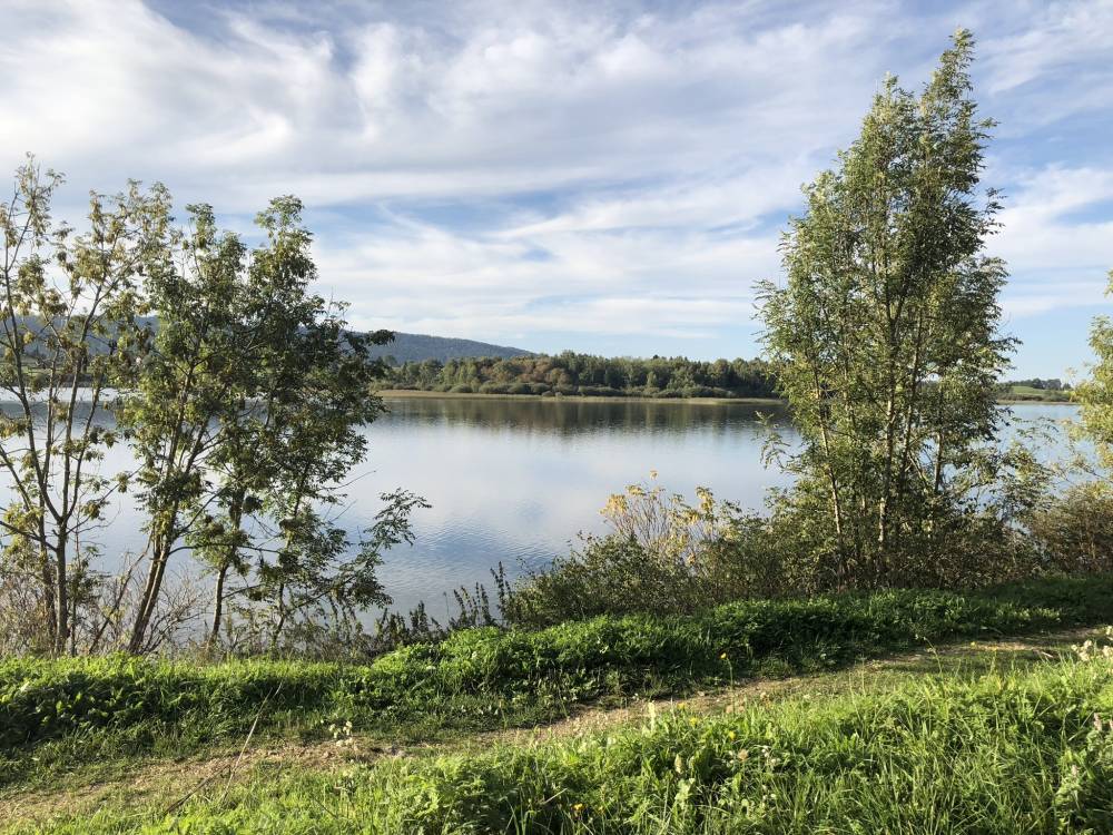 Lac